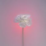 Brian Kaiser - @brianmkaiser - Instagram