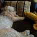 Brian Kall - Facebook