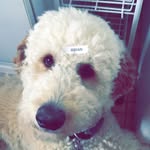 Brian Michael Kall - @brian.kall - Instagram