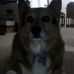 Brian Kammer - Facebook