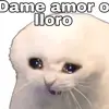 Brian Kammerer* - @briankammerer4 - TikTok