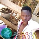Brian kasaya - @brian.kasaya - Instagram