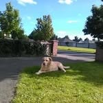 Brian Keely - @brian.keely - Instagram