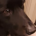 @brian.keenan08 - Instagram