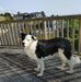 Brian Kehler - Facebook