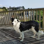 Brian Kehler - @kehler_brian - Instagram