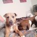 Brian Kinyon - Facebook