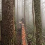 Brian Kerzner - @bkerzner - Instagram