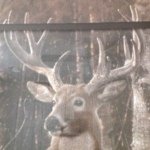 Brian Kilburn - @brian_kilburn_12 - Instagram
