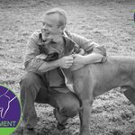 Brian Kilcommons - @dogsbringushome - Instagram