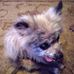 Brian Killough - Facebook