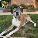 Brian Kimpel - Facebook