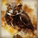 Brian Kingston - @mbatech.bk - Instagram