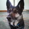 Brian Kistler - @brian.kistler - TikTok