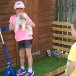 Brian Kitchen - @briankitchen70 - Instagram