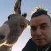 brian_kitchen - @brian_kitchen - TikTok