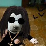 Brian kitchen - @lilbk2006 - Instagram