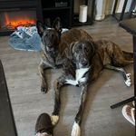 Brian Kitz - @kitz.brian - Instagram