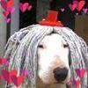 Brian Kitzler - @brian.kitzler - TikTok