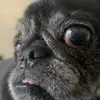Brian Kitzmiller - @briankitzmiller - TikTok
