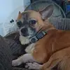 Brian Kizer - @brian.kizer4 - TikTok