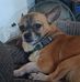 Brian Kizer - Facebook