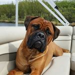 Brian Klassen - @klassen72 - Instagram