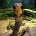 Brian Kleinman - Facebook