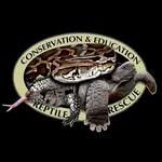 Brian Kleinman - @cereptilerescue - Instagram