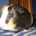 Brian Kliewer - Facebook