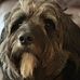Brian Klingler - Facebook