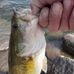Brian Glassnor - Facebook