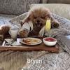 bryanlossner - @bryanlossner - TikTok