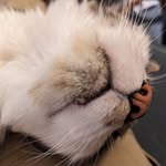 Brian Klotz - @slickjolly - Instagram
