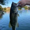🎣Brian Klug🇺🇸 - @hooked_4_life - TikTok