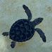 Brian Knapik - Facebook