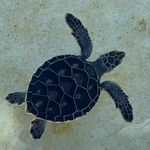 Brian Knapik - @knapik_brian - Instagram