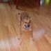 Brian Knaub - Facebook