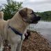 Brian Knauff - Facebook