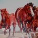 Brian Knutson - Facebook