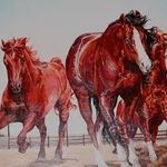 Brian Knutson - @brian.knutson.31 - Instagram