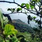 Brian Knutson - @knutson4249 - Instagram