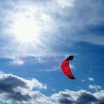 Brian Knutson - @bgknutson - Instagram