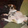 briankochanski875 - @briankochanski875 - TikTok