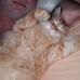 Brian Kohrt - Facebook