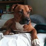 Brian Kolin - @briankolin - Instagram