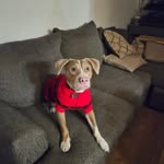 Brian Kramer - @briankramer288 - Instagram