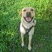 Brian Kramer - Facebook
