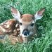 Brian Kwiatkowski - Facebook