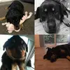 Brian Lachenmeier - @brianlachenmeier - TikTok